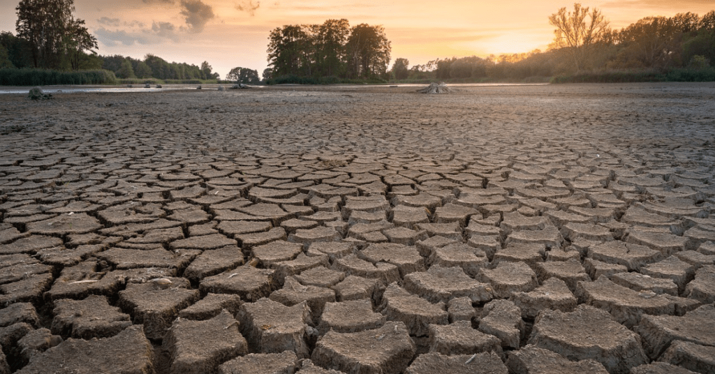Essay On Desertification and Drought