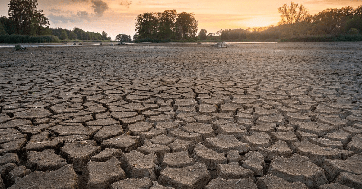 World Day to Combat Desertification and Drought, 17 June